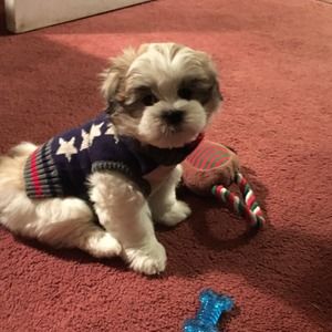 Meet your Posher, Kathleen